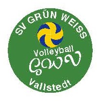 SV_GWV_Neue_Ehrennadel_Volleyball.jpg